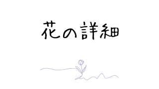 花の詳細
